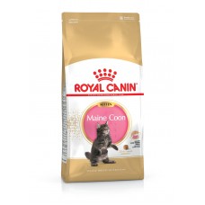 Royal Canin Maine Coon Kitten 