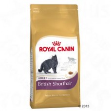 Royal Canin British Shorthair Adult