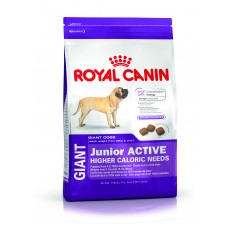 Royal Canin Giant Junior Active
