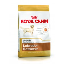 Royal Canin Labrador Retriever Adult