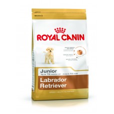 Royal Canin Labrador Retriever puppy