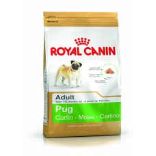 Royal Canin Pug Adult