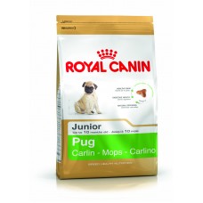 Royal Canin Pug Junior