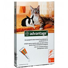 Advantage (Адвантейж) 40 капли (1 пипетка)