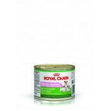 Royal Canin Starter Mousse