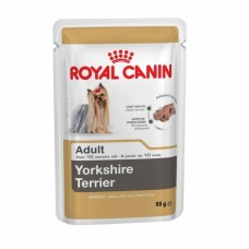 Royal Canin Yorkshire Terrier
